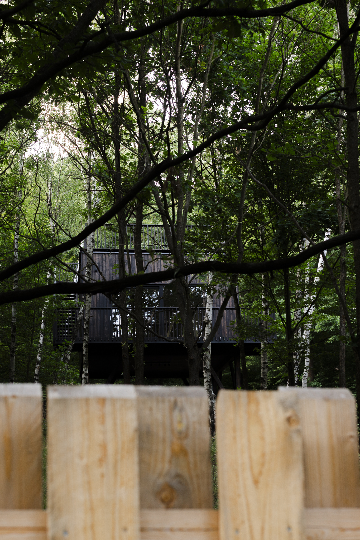 Detale wnętrza Bosco Bardo